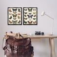 thumbnail image 3 of Stupell Industries Antique Butterfly Collection Insects Painting Black Floater Framed Canvas Art Print Wall Art, 17 x 21, Set of 2, 3 of 10