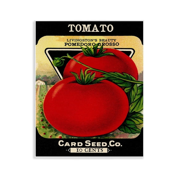 Stupell Industries Vintage Gardening Tomato Food & Beverage Painting Unframed Art Print Wall Art, 11 x 14