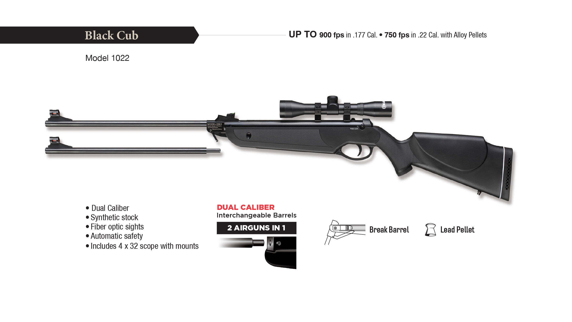 Beeman 1022 Black Cub DC Air Rifle Combo (Dual Caliber .177 or .22), Synthetic Stock, 4 X 32 Scope