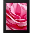 thumbnail image 2 of May 19x24 Black Modern Framed Museum Art Print Titled - Rose Nahbereich, 2 of 5