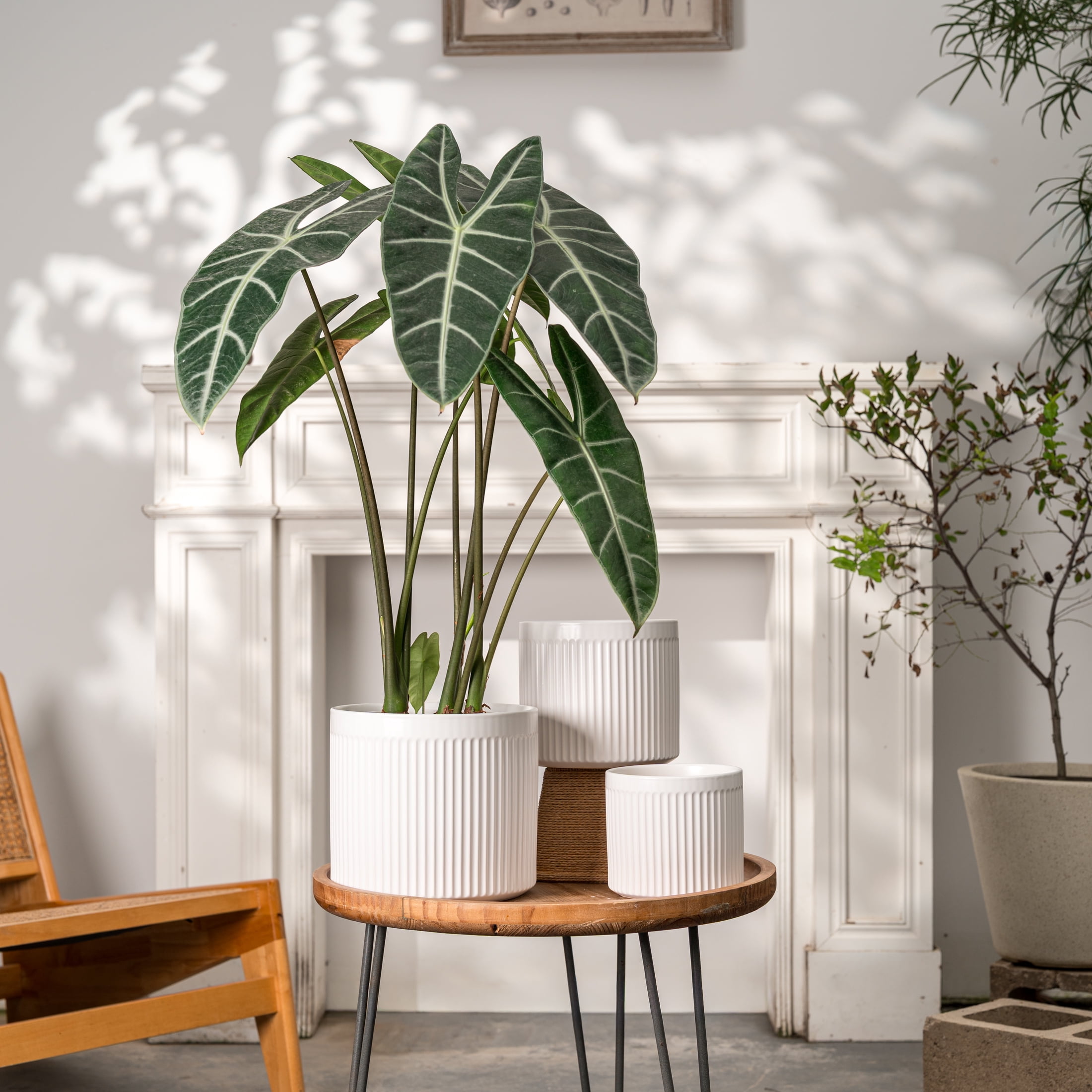 UMIAMOY Modern Cylinder Set of 3 Ceramic Flower Pots,5.7+7.0+8.6 inch Plant Pots with Drainage Holes and Saucer,Indoor Outdoor Planters for Home Patio Garden Decoration
