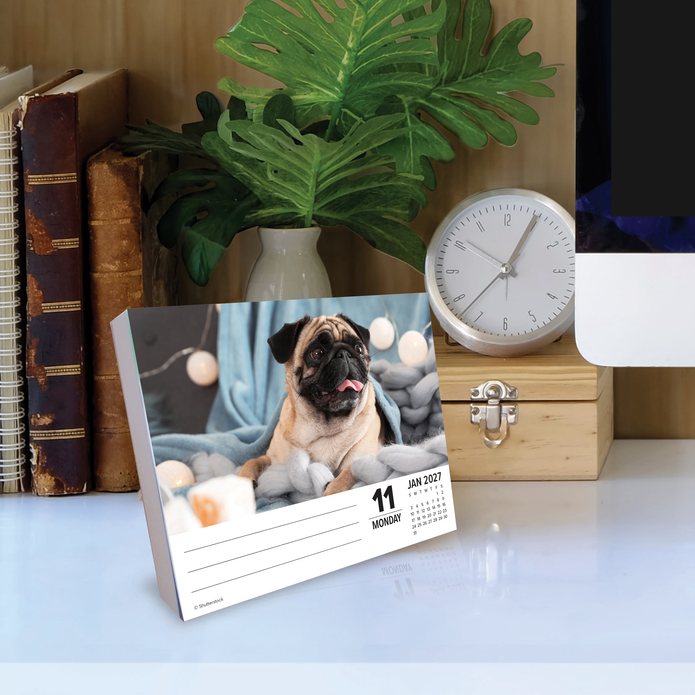 Willow Creek Press, Just Pugs 2027 Box Calendar