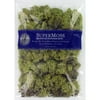 Super Moss 25140 Reindeer Moss Preserved, Green, 8oz 200 cubic inch