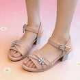thumbnail image 2 of Girls Sandals Open Toe Rhinestone Low Block Heeled Party Wedding Flower Girls Shoes Princess Dress Ankle Strap Heels Pink 11.5 Little Kid, 2 of 6