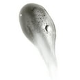 thumbnail image 5 of Anomaly Haircare Clarifying  Shampoo with Charcoal and Eucalyptus for Build Up  11 fl oz, 5 of 10