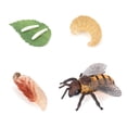 thumbnail image 1 of Bewildely 1 Juego de modelo de gusano de pala, Material plástico Premium, figuritas de insectos significativas, modelos de crecimiento educativo temprano Juguetes Educativos abeja tipo 2 NO18 Bewildely FN010083-18, 1 of 6