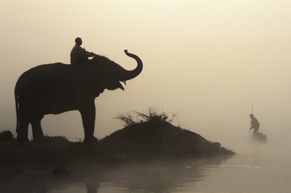 An Elephant With Its Mahout Stand At The Edge Of The Rapti River Near Sauraha And Chitwan National Park As A Man Pushes His Dugout Canoe Along The River Nepal Canvas Art - Sean White Design Pics (19