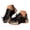 Black, variant on Pandaie Womens Lace Fashion Sneakers Rhinestone Butterfly Tassel Platform Walking Running Tennis Shoes for Casual Dressy (Black,6)