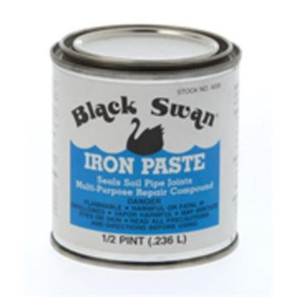 Black Swan Fabrication 139203012 8 oz de Ciment à Prise Rapide en Pâte de Fer