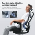 thumbnail image 6 of Sihoo Doro-C300 Ergonomic Chair, 3D Armrests  Swivel Chair, Adaptive Lumbar Support Office Chair, Ergonomic Desk Chairs for Adults, Comfort Home Office Chair, Black (Set of 1)), 6 of 12