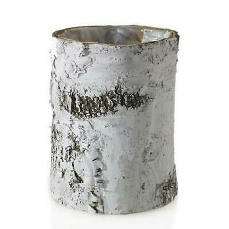 Natural Birch Bark Cylinder Vase In White 10 Tall X 7 Wide
