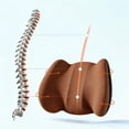 thumbnail image 3 of KINGWOLF Car Back Cushion Ergonomic Lumbar Support Universal Fit Posture Correcting Brown, 3 of 3