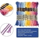 thumbnail image 2 of 12 madejas de 105 yardas de hilo de bordar matizado, 6 hebras de hilo de bordar de colores para pulseras de la amistad., 2 of 9
