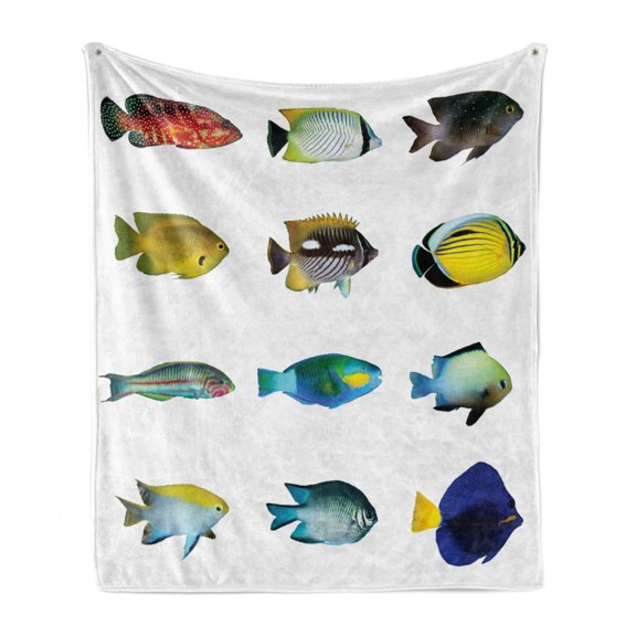 Fish Soft Flannel Fleece Throw Blanket, Egyptian Fauna Bannerfish Goldfish Parrotfish Wildlife Nature Red Sea Theme Image, Cozy Plush for Indoor and Outdoor Use, 50" x 60", Multicolor, by Ambesonne
