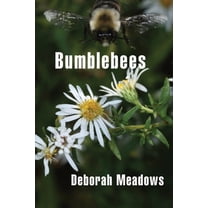 Bumblebees, (Paperback)