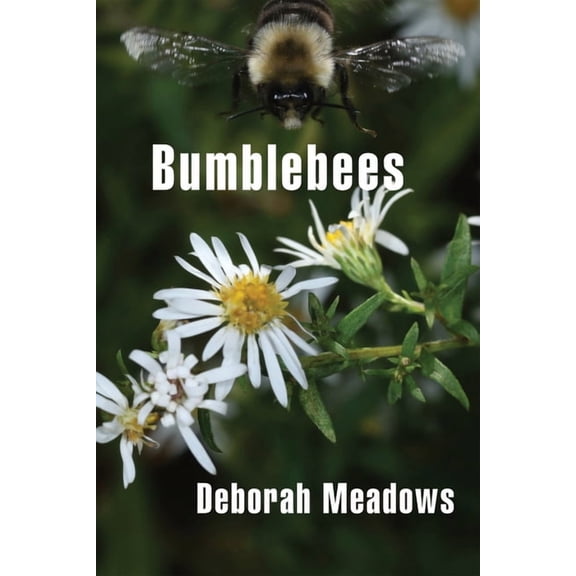 Bumblebees, (Paperback)
