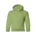 thumbnail image 1 of Fleece Heavy Blend Youth Hooded Sweatshirt, 1 of 1