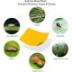 thumbnail image 4 of 20 piezas de papel adhesivo de doble cara de 15 cm x 20 cm, papel adhesivo amarillo para hojas blancas, pulgones y mineros con bridas (20 piezas), 4 of 5