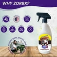 thumbnail image 2 of ZORBX Unscented Skunk Odor Remover Spray 24oz Fast-Acting Skunk Odor Eliminator – Extra Strength Pet Deodorizer for Dogs, House, Car, Clothes & Furniture, 2 of 7