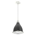 thumbnail image 5 of Hunter - Bluff View 1-light Matte Black, Medium Size Pendant Light, Dimmable, Casual Style, Bell Shaped, for Bedrooms, Dining, Living Rooms - 19218, 5 of 8
