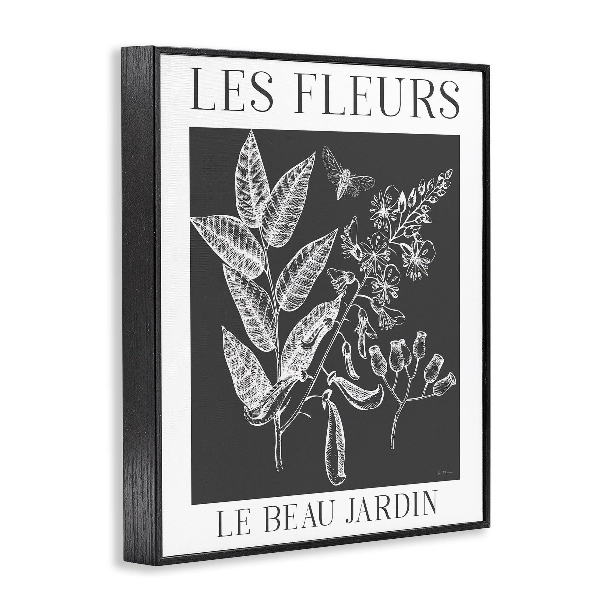 Stupell Industries Les Fleurs Black & White Contour Black Framed Giclee Art, design by Lux + Me Designs