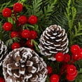 thumbnail image 2 of Holiday Time 1Gal Fresh Live Real Greenery Berry Pinecone Decorative Pot Indirect Light, 2 of 7