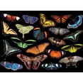 thumbnail image 5 of Buffalo Games 1500-Piece National Geographic Winged Jewels Interlocking Jigsaw Puzzle for Adults Ages 14+, 5 of 5