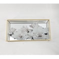 thumbnail image 1 of PLATEAU MIROIR WHT GL, 1 of 1
