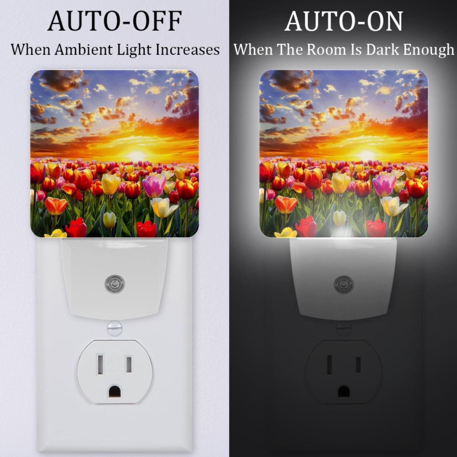 PhooArto Beautiful Tulip Flower Sunset Landscape Plug in LED Night Light Auto Sensor Dusk to Dawn Decorative Night for Bedroom, Bathroom, Kitchen, Hallway, Stairs, Baby's Room, Energy Saving