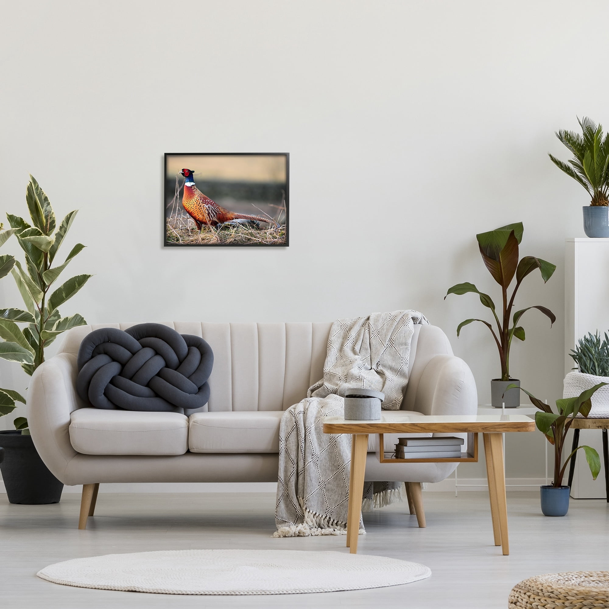 Stupell Industries Lone Pheasant Bird Grassy Forest Floor Wildlife Photograph Black Framed Art Print Wall Art, Design by James Dobson
