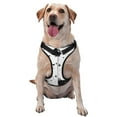 thumbnail image 1 of Fotbe Doodle Cute Cat Arnés para Perro con Estampado –Chaleco Ajustable Acolchado con Asa de Control para Perros Grandes-X-Large, 1 of 6