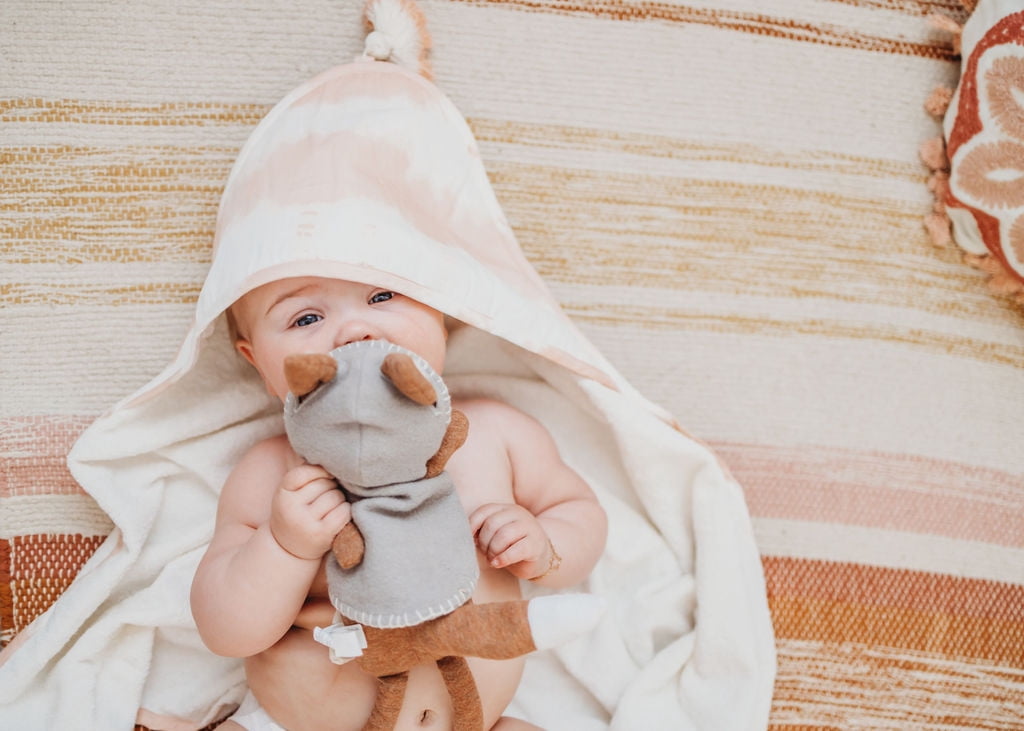 Crane Baby Parker Hooded Towel - Baby Bath Ultra Soft Absorbent Newborn Essentials