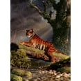 thumbnail image 2 of Eskridge, Daniel 25x32 White Modern Wood Framed Museum Art Print Titled - Tiger On A Log, 2 of 4