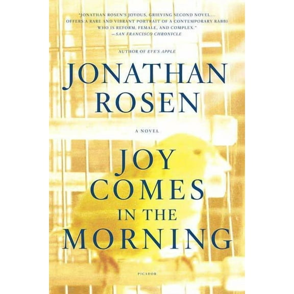 Joy Comes in the Morning, (Paperback)