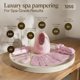 thumbnail image 3 of Kit de vapor facial VogueNow Spa con 15 herramientas para el cuidado de la piel para mujeres, 3 of 9