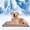 D, variant on Pet Cooling Mat for Dogs, Medium Reusable Dog Home Mat Extra Large Easy-Fold Pet Cool Pad for Home Travel, Self Cooling Pad for Cats in Hot Summer Cool Pad for Dogs (Blue, 110 * 80cm)