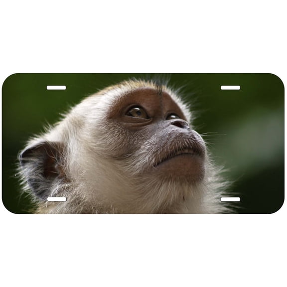 Monkey TAG07 Novelty Car Auto License Plate