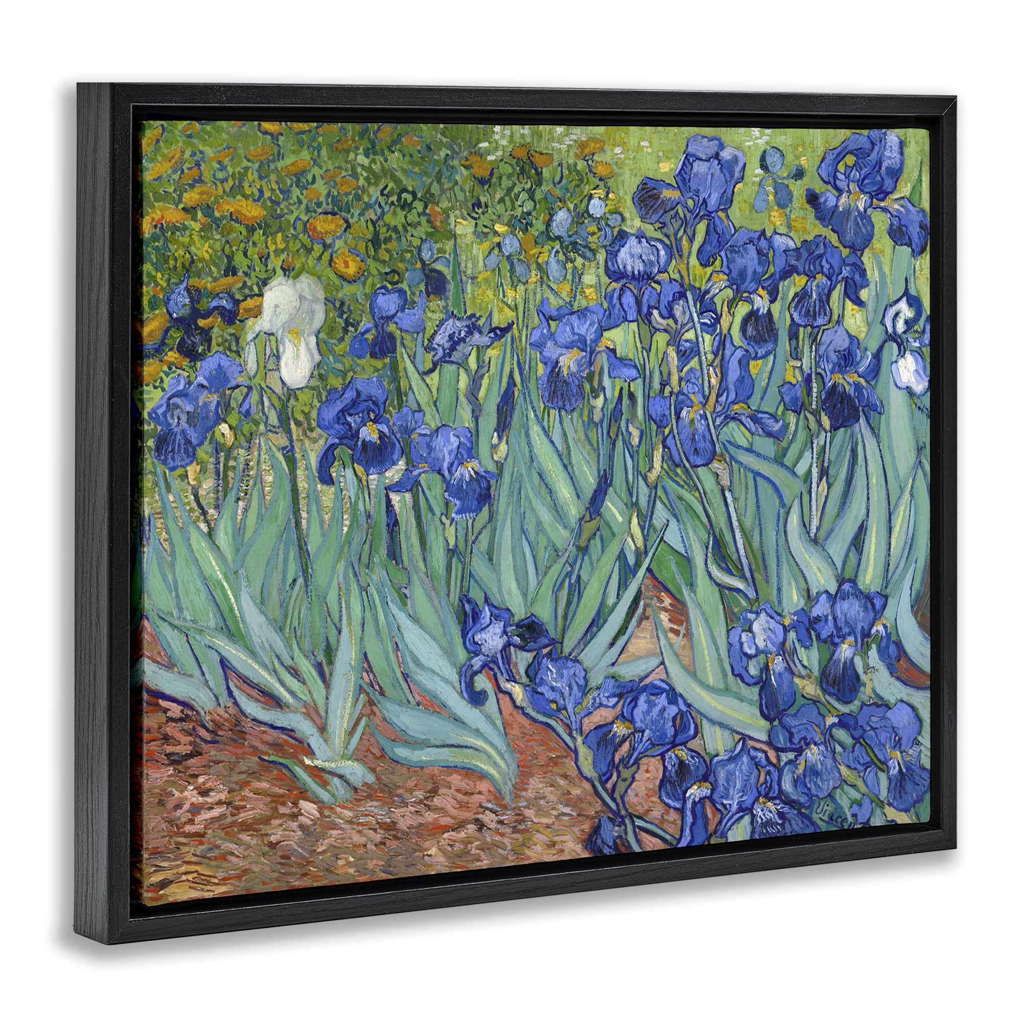 Stupell Industries Classic Van Gogh Irises Plants & Flowers Painting Black Floater Framed Canvas Art Print Wall Art, 31 x 25