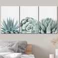 thumbnail image 3 of wall26 Wall Art Print Set Green Succulent and Cactus Variety Wilderness Nature Illustrations Modern Art Rustic Closeup Colorful for Living Room, Bedroom, Office - 16"x24"x3, 3 of 5