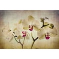 thumbnail image 2 of Marmont Hill "Pale Orchids Wide" by Malek Painting Print on Wrapped Canvas, 2 of 7