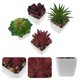 thumbnail image 4 of 4 piezas de simulación de plantas suculentas decorativas de imitación de plantas en maceta para decoración del hogar, 4 of 6