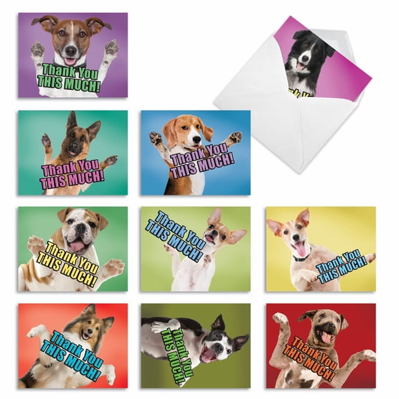 NobleWorks Funny People Birthday Greeting Card w/ 5x7 Envelope (1 Card), For Women, Bday Bad Memory C3680BDG