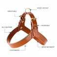 thumbnail image 4 of PU Leather Dog Harness Chest For Dog Vest Breast-Band Suit to Small Medium Large Dogs Walk Outdoor Pet Accessories For Animal ShopWise Round, 4 of 10