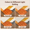 thumbnail image 7 of Design&I 4'x6' Washable Area Rug Burnt Orange Terracotta Mid Century Abstract Geometric Bauhaus Midcentury Design for Reading Nook, Bedroom, Pet Friendly & Non-Slip Built-In Grip, 7 of 7