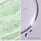 thumbnail image 4 of Set de viaje Dr. Groot Scalp Revitalizing Solution Hair Care, 4 of 9