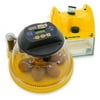Brinsea Products Fully Automatic Egg Incubator with Humidity Control for Hatching 7 Chicken Eggs or 12 Smaller Eggs