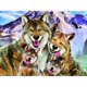 thumbnail image 1 of Taladro de pintura de diamante (DF3800) 5D DIY Kit de mosaico de punto de cruz de lobo completo (w1628) 45x60cm FLhrweasw Nuevo, 1 of 1