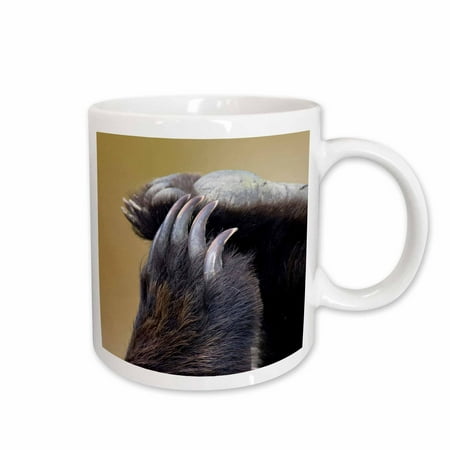 

3dRose Grizzly Bear Paws and Claws - US02 JGS0037 - Jim Goldstein Ceramic Mug 15-ounce