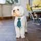 thumbnail image 5 of 4 piezas de corbata para mascotas, corbata ajustable para perros y gatos, collar Formal para perros, corbata a rayas para perros pequeños y gatos, 5 of 5