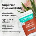 thumbnail image 5 of Further Food Chocolate Marine Collagen Peptides Powder, Wild Caught, Sustainable, Type 1, 2 & 3 Collagen, Gut + Joint Support, Hair, Skin, Nails, Sugar-Free 7.41 oz, 5 of 10
